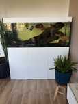 Akwarium diversa 450L