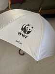Parasol bialy wwf