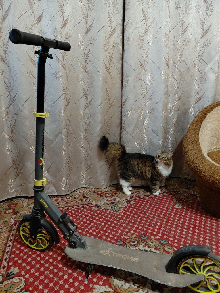 Самокат міський 2 колесний