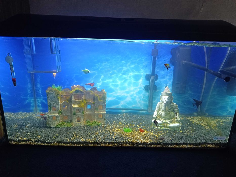 Акваріум на 120л