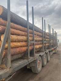 Продам ліс кругляк 4-6 метрів сосна , хвоя пиловочник з доставкою