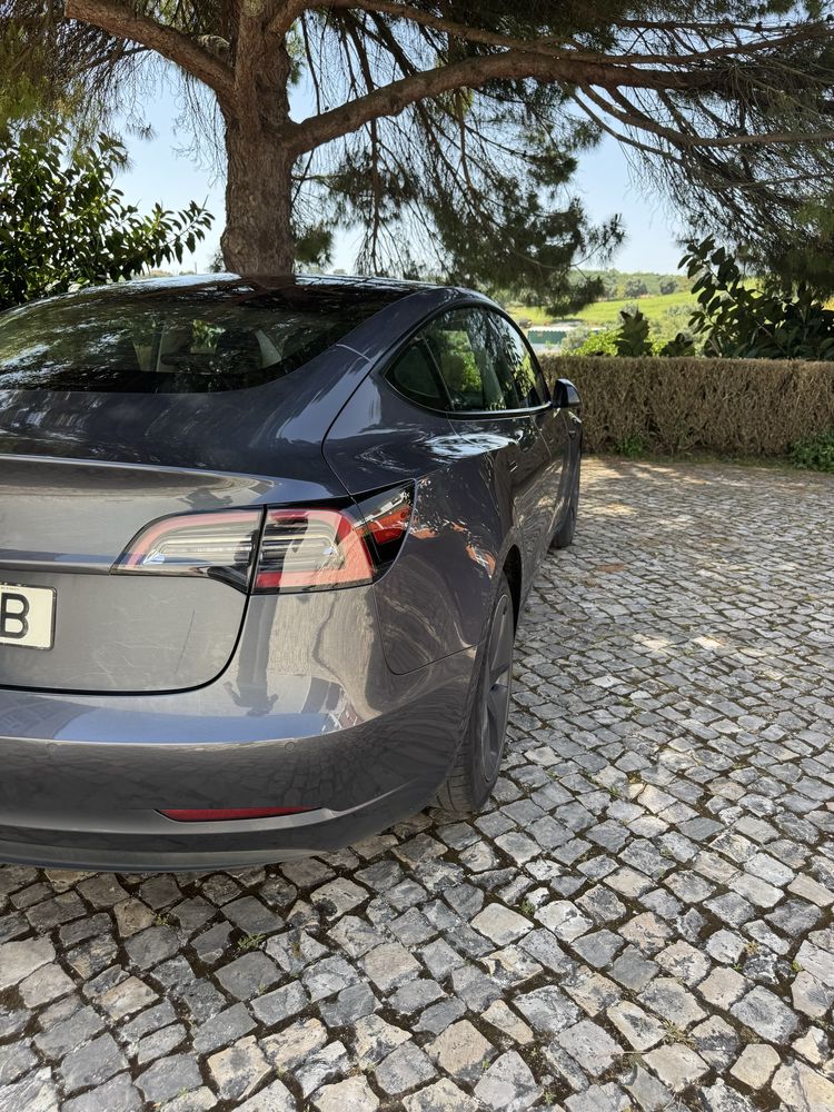 Tesla Model 3 Standart Range Plus