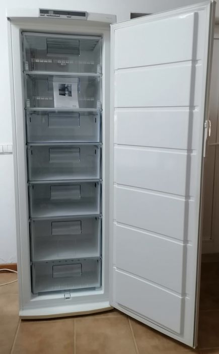 Arca congeladora vertical AEG