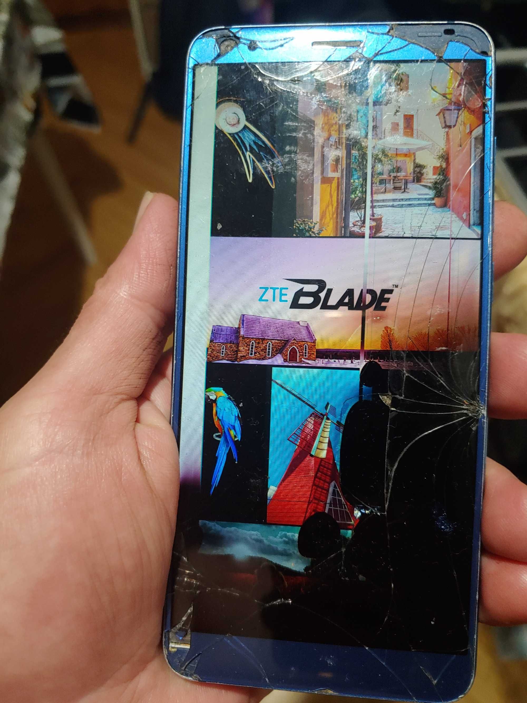 DS Galaxy A5 SM-A520F      ZTE BLADE v9