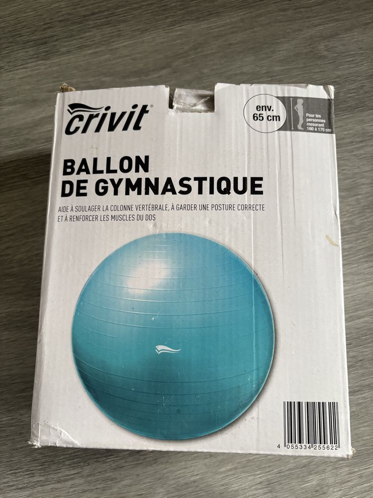 Bola Ginastica nova