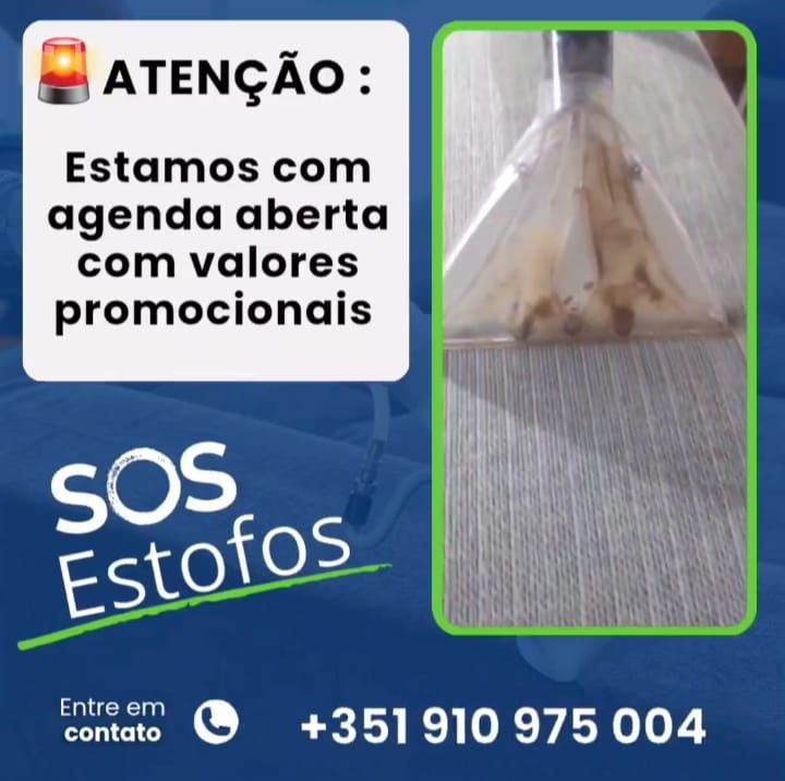 Limpeza e higienização de sofás cadeiras puffes almofadas carpetes