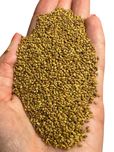 Lucerna paszowa nasiona ziarna ładna czysta 1kg