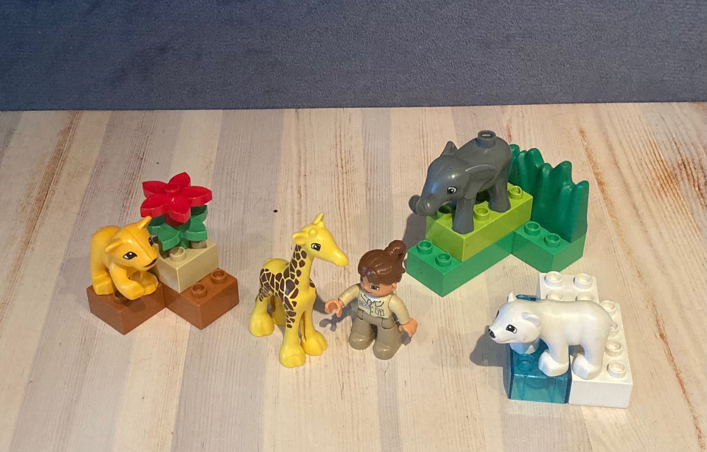 Lego Duplo 4962 Małe zoo