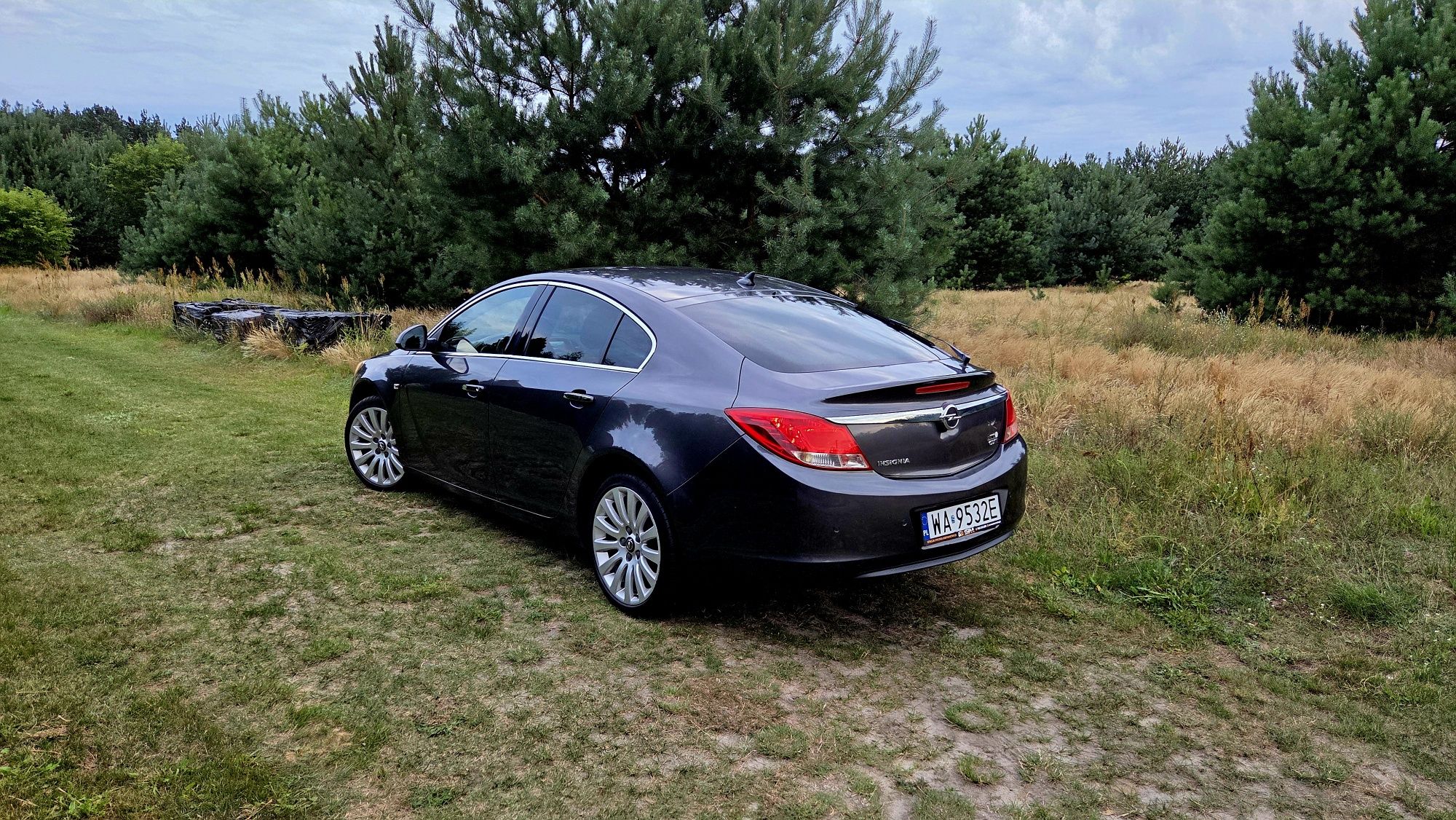 Opel Insignia 2.0 CDTI 160 KM, Salon Polska