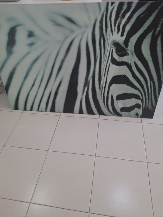 Quadro Zebra Preto e Branco