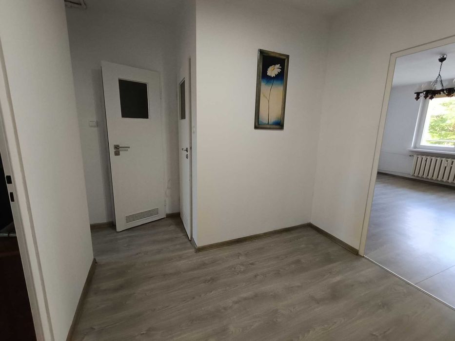 Komfortowe mieszkanie 2 pokojowe!