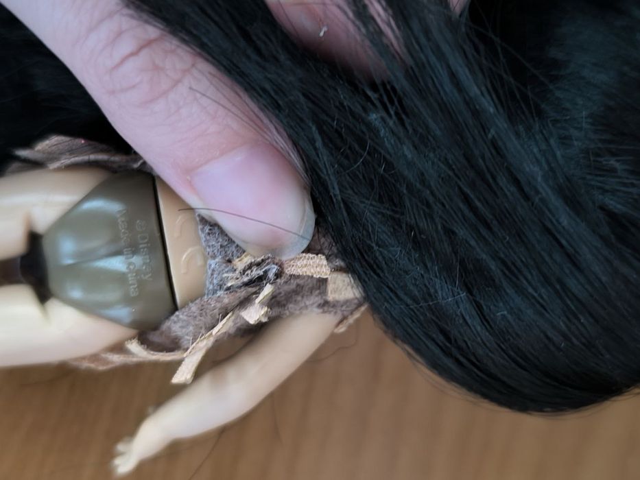 Мініаніматор Покахонтас , Аврора Disney