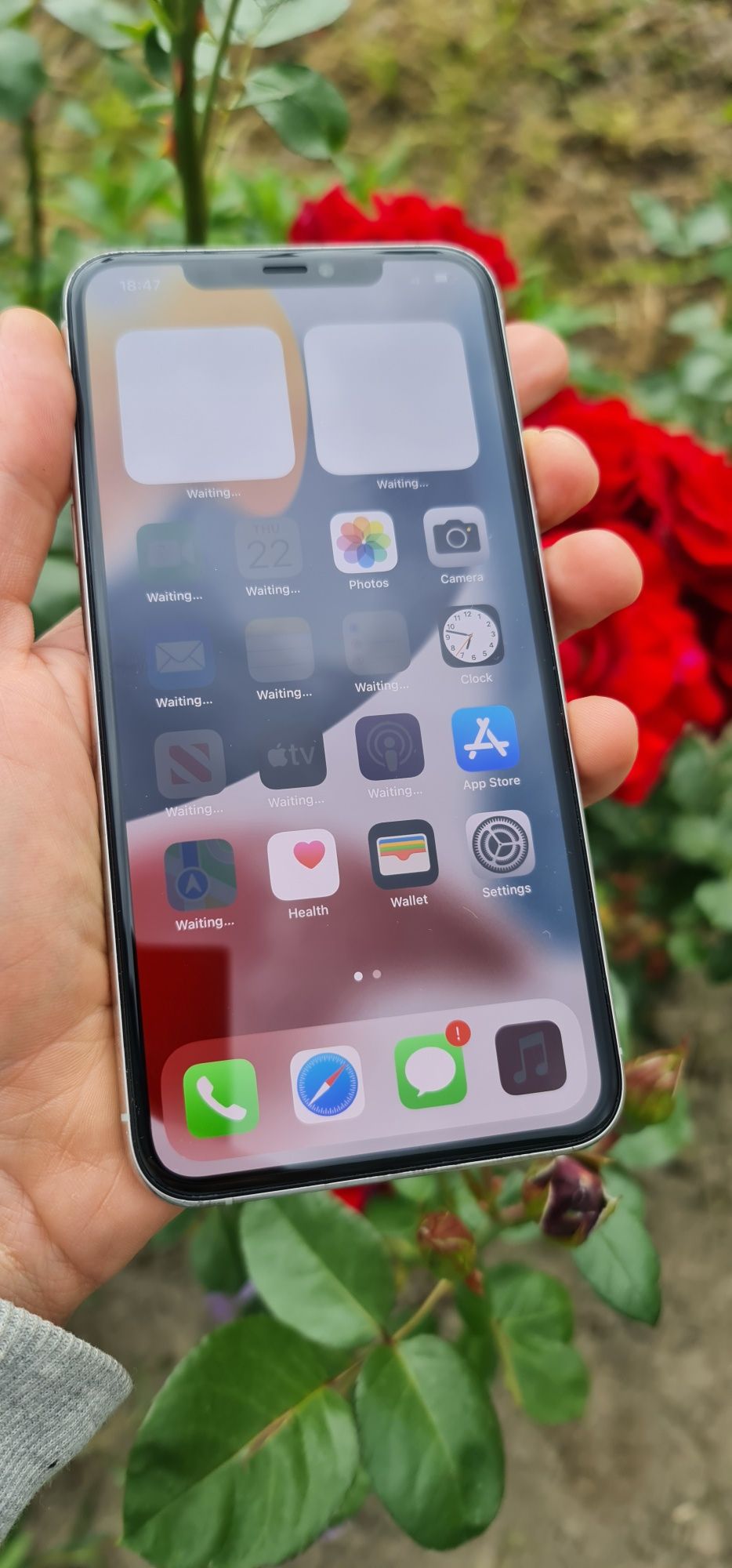 Iphone 11 pro max 256gb Ios 15