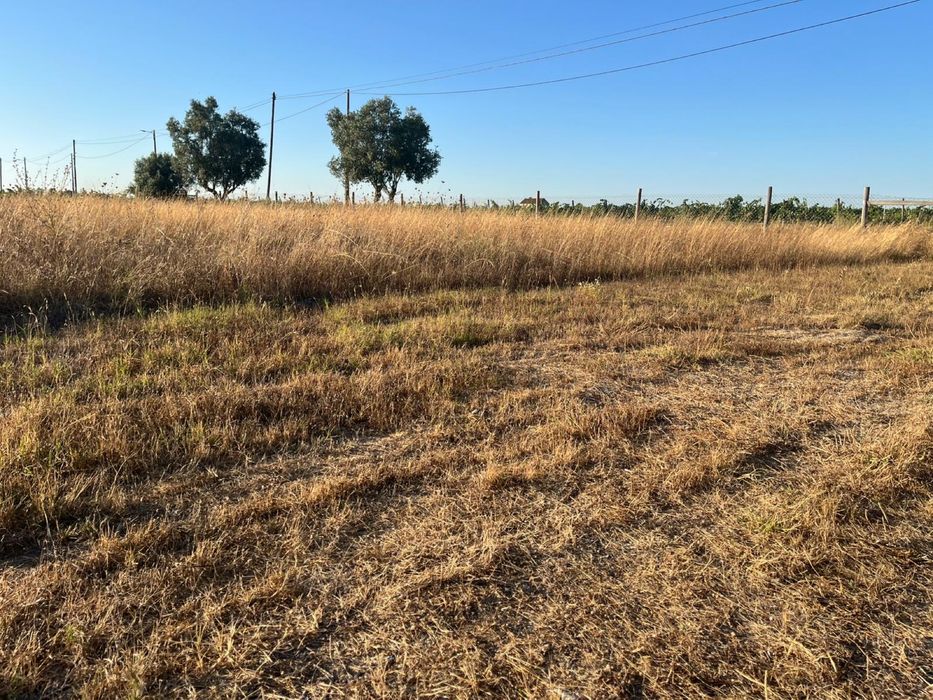 Manutenção / Reparações