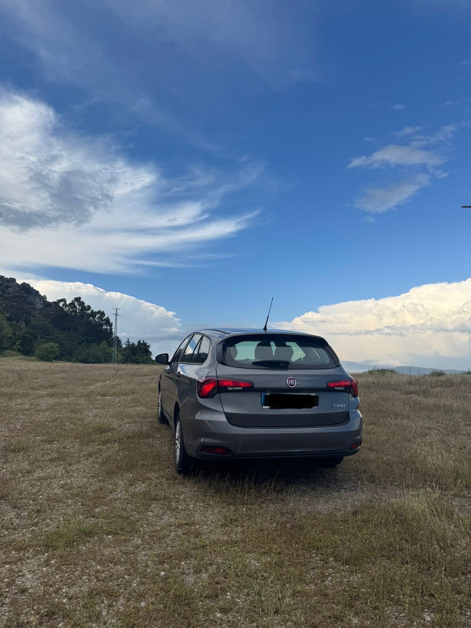 Fiat tipo gasolina
