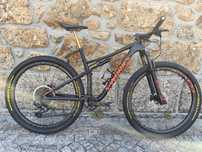 Specialized Epic Sworks