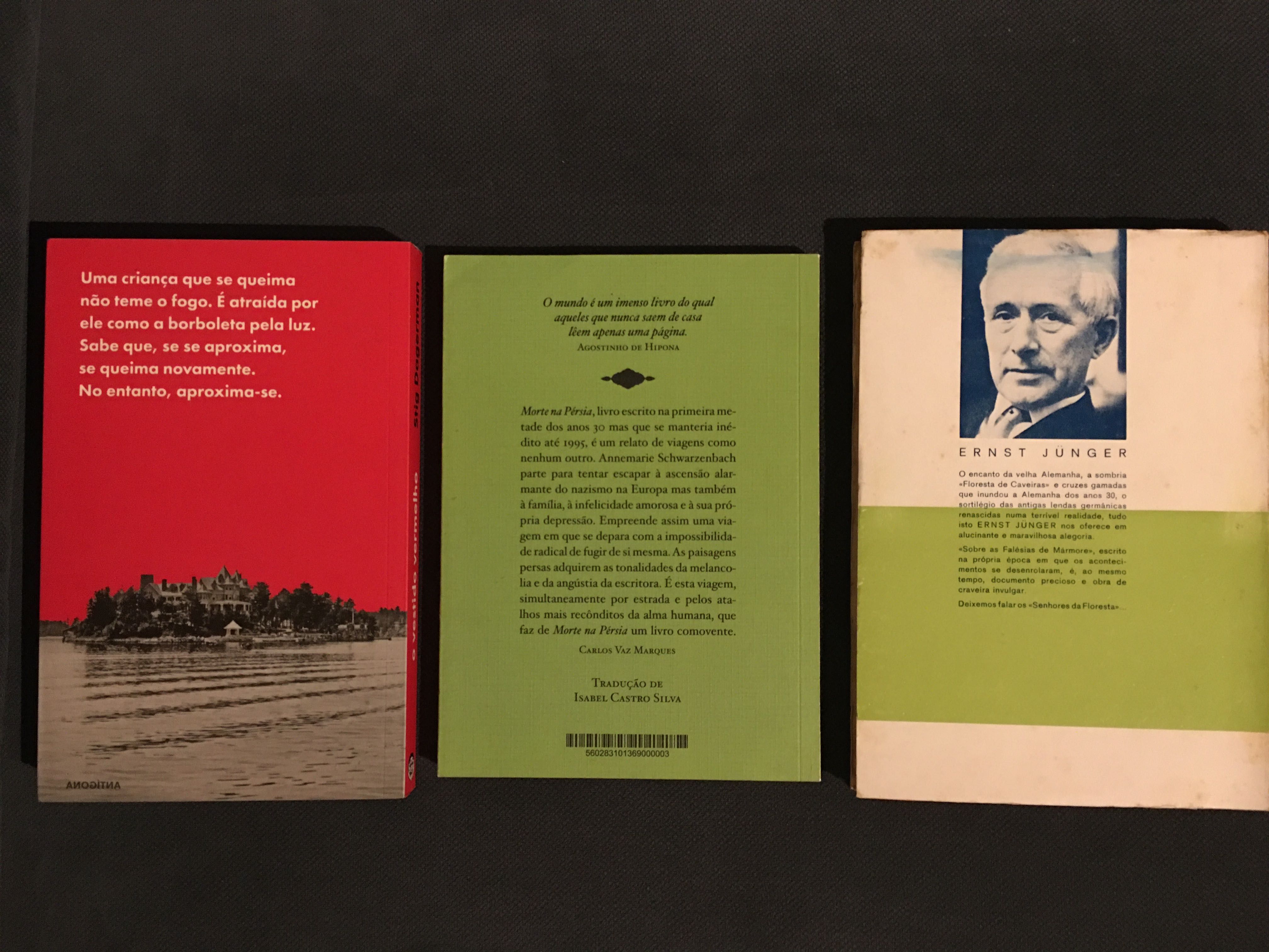 Stig Dagerman/A.  Schwarzenbach/ E. Junger/ G. Sebald /G. Grass