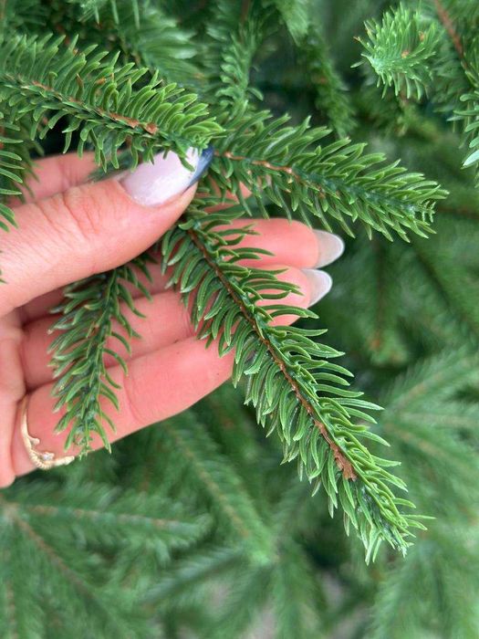 Ялинка штучна смерека лита зелена, елка искусственная