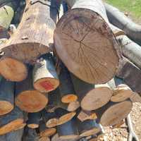 Drewno bukowe sezonowane