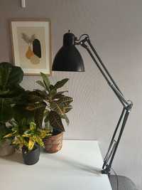 Lampa Luxo L-1 czarna