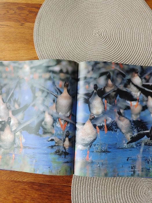 Album fotograficzny "Królestwo Dzikich Gęsi" Szymański, Tabor