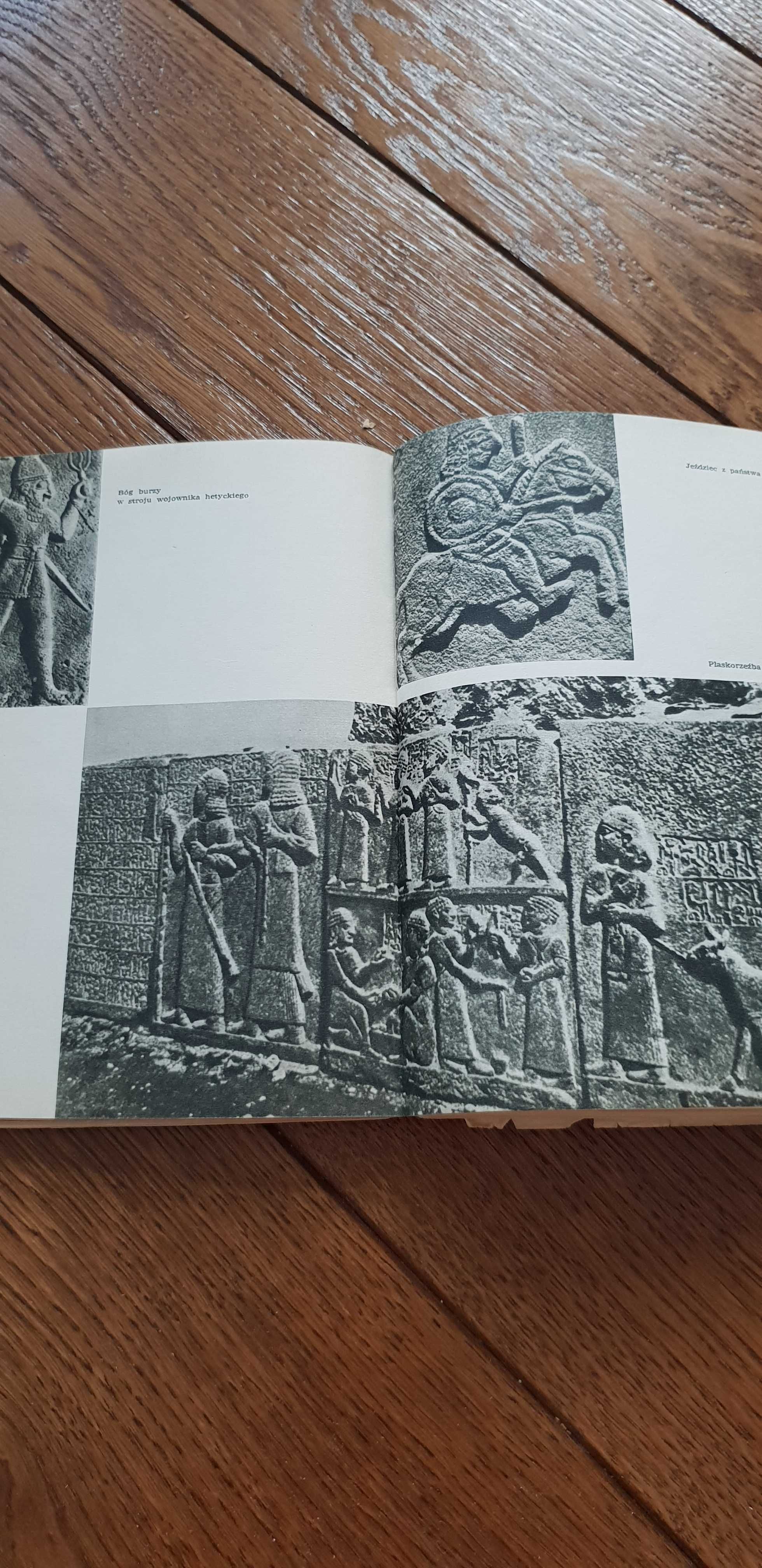 Książka rok 1965 "Rumaki Lizypa" Zenon Kosidowski