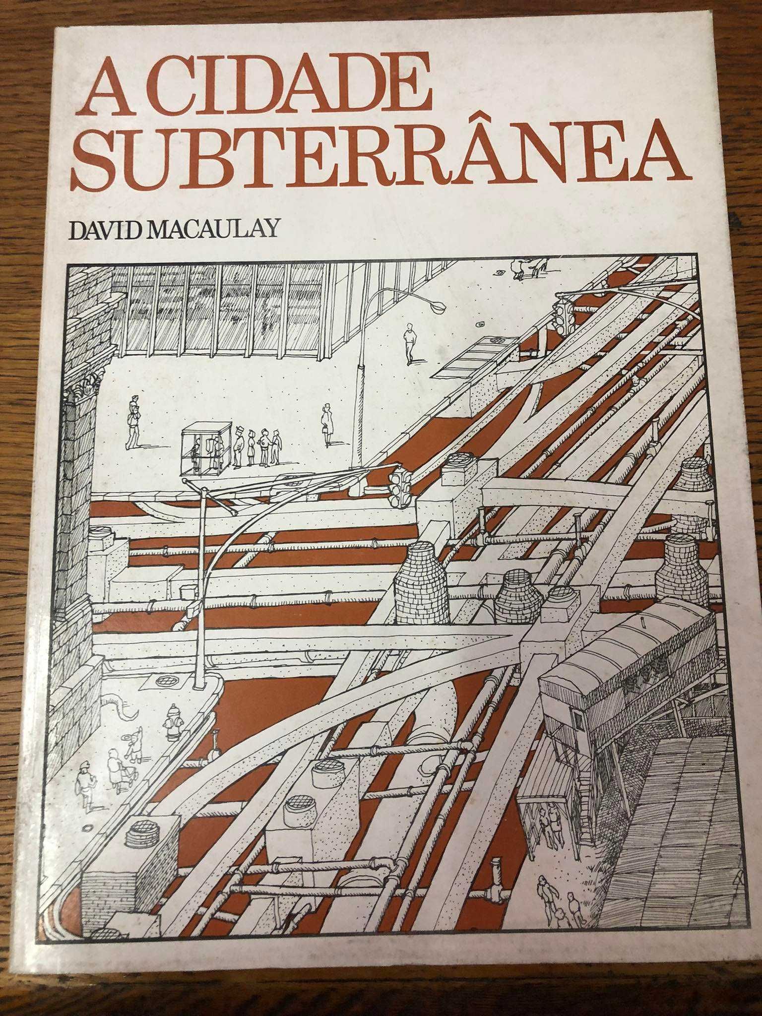 2 livros A Cidade Subterrânea e A Catedral  - David Macaulay