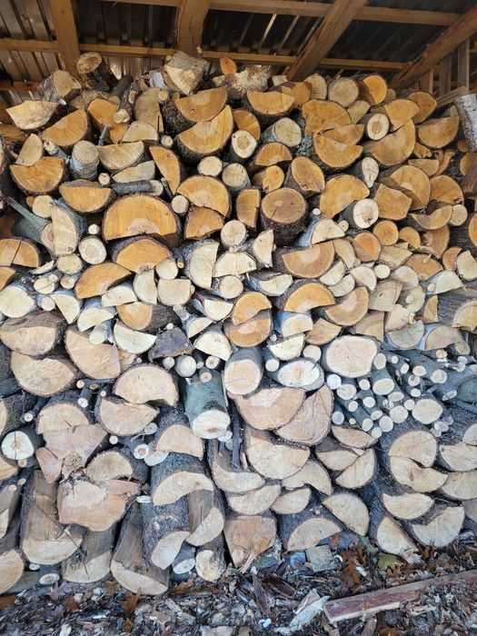 Drewno opalowe suche