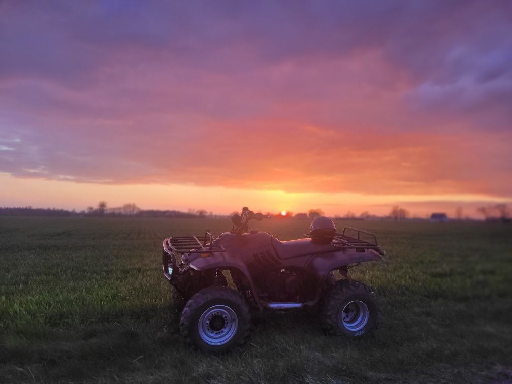 Quad Linhai 300.
