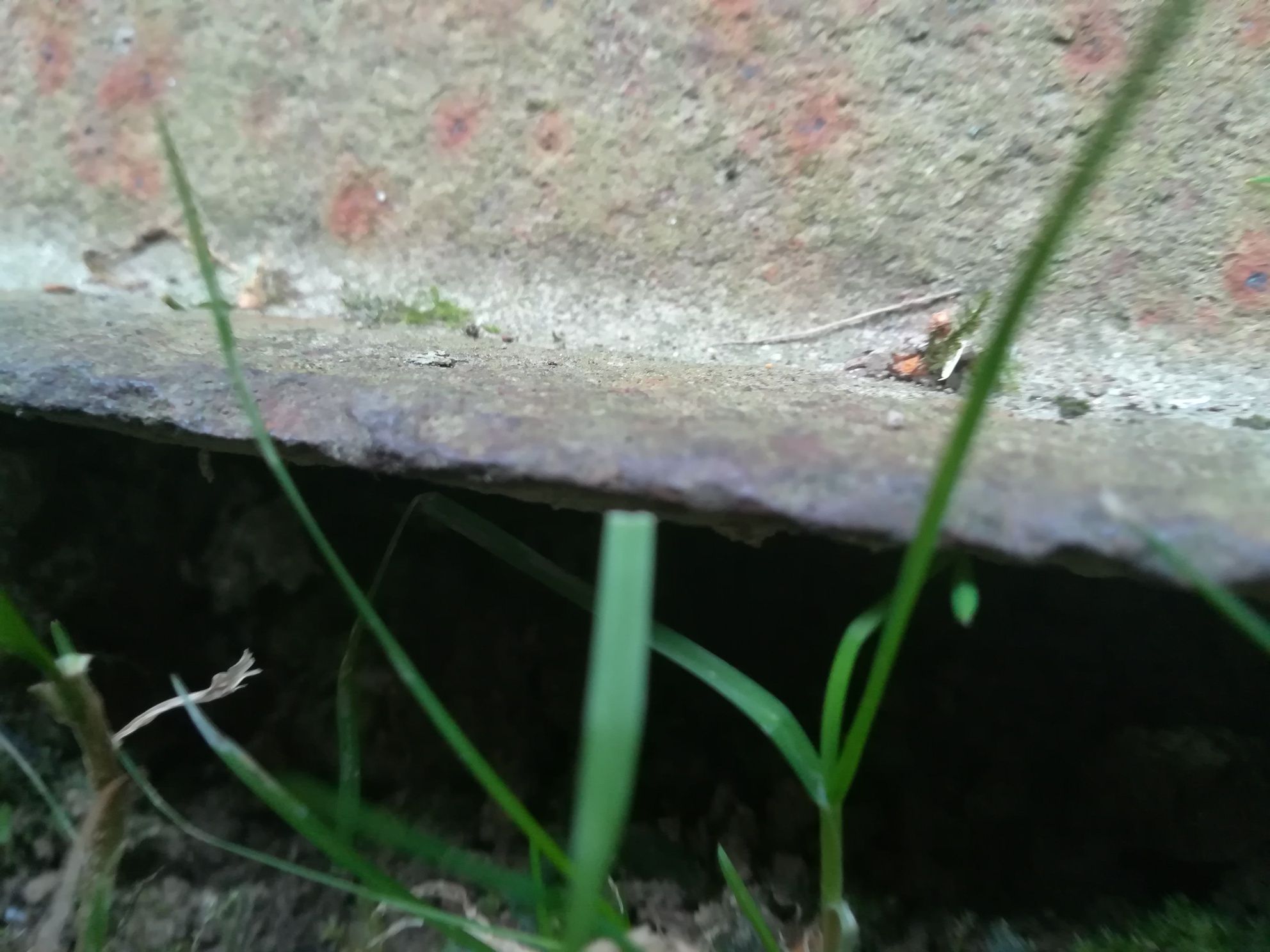 Szyna  wąskotorowa 7, 5m 4szt