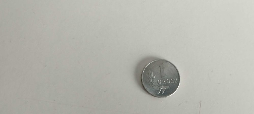 2 monety 1 gr. 1949 r.