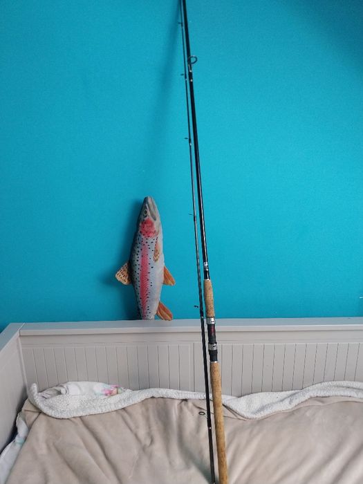 Wędka feeder wędkowanie