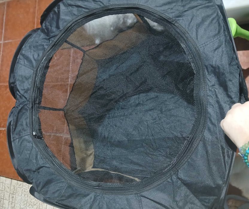 Parque animais desmontável novo