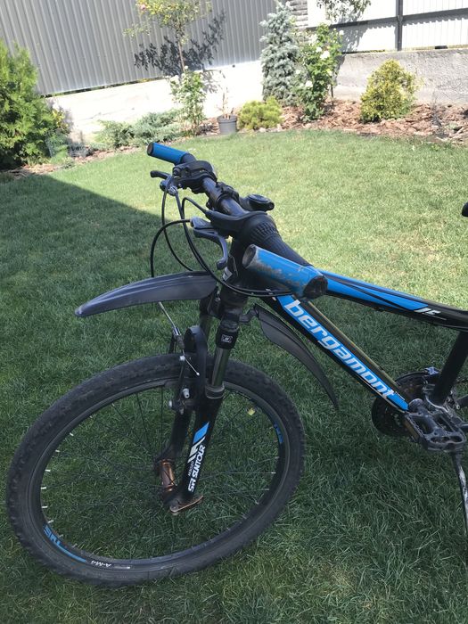 Bergamont Team Junior 24