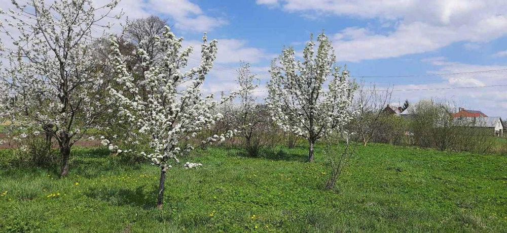 Будинок,Двоповерховий, Ременів, Львів