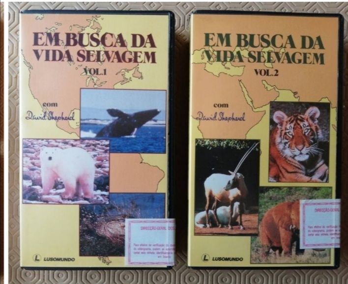 Em Busca da vida selvagem