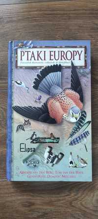 Książka Ptaki Europy