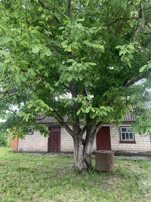 Будинок з усіма зручностями в Лемешівці