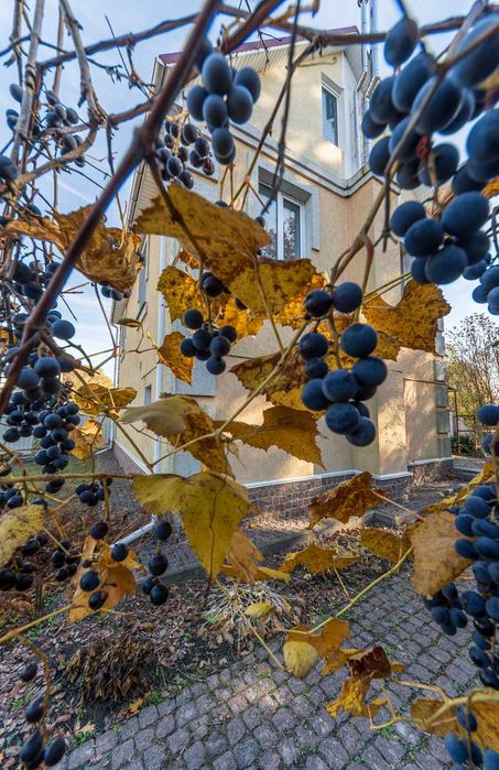 Довгострокова ренда будинку  Осокорки, Нижні Сади