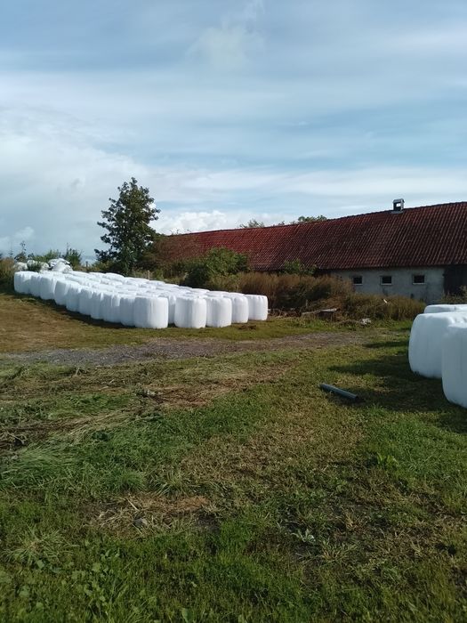 Sprzedam sianokiszonkę