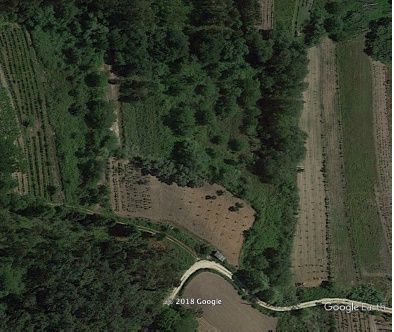 Terreno Agrícola (possibilidade de Casa em Madeira) - Assamassa, Soure