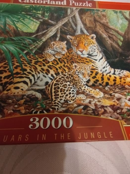 Puzzle 3000 elementów