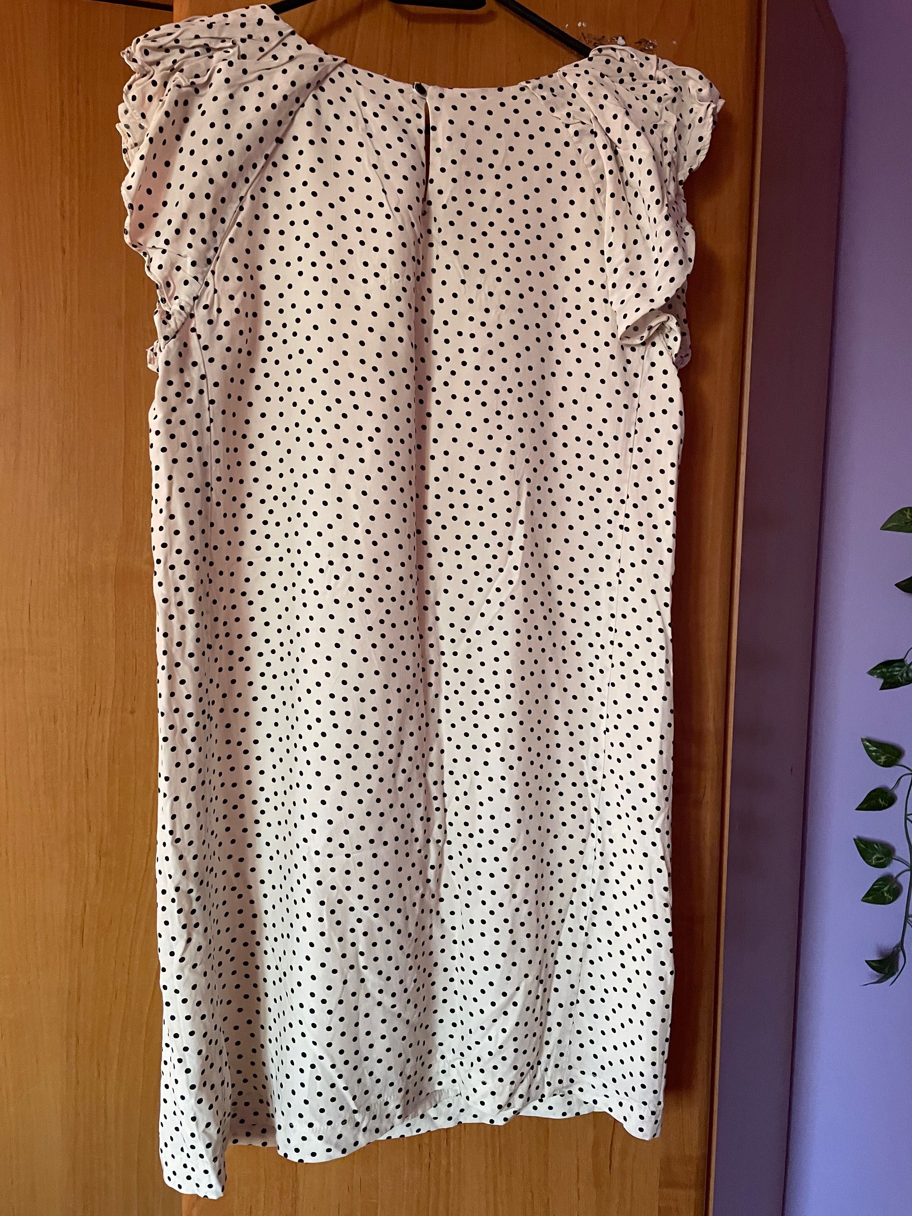 Sprzedam sukienkę w grochy jak nowa M Zara basic