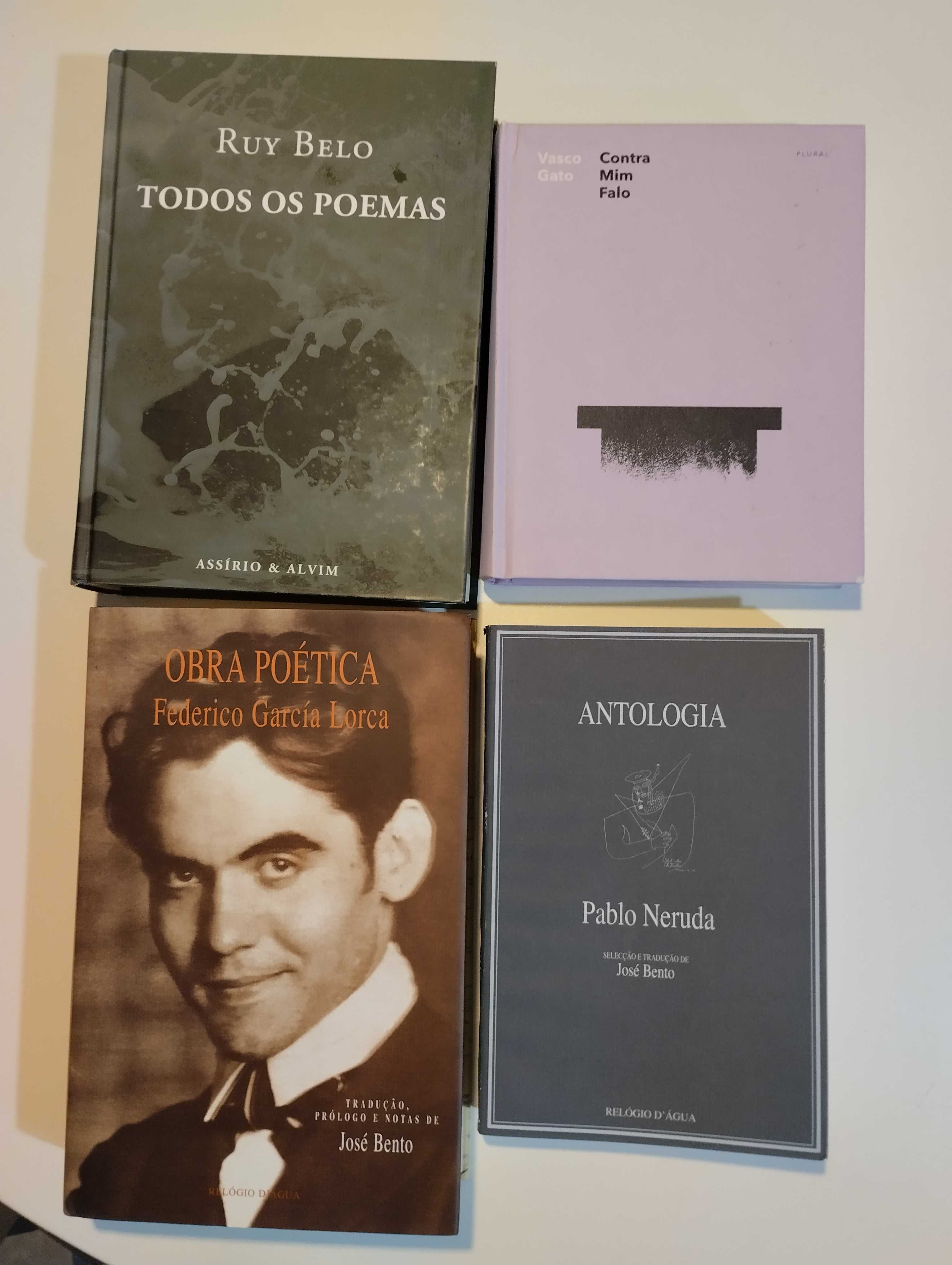 Livros de poesia da Assírio & Alvim, Relógio d’Água, Porto Ed.