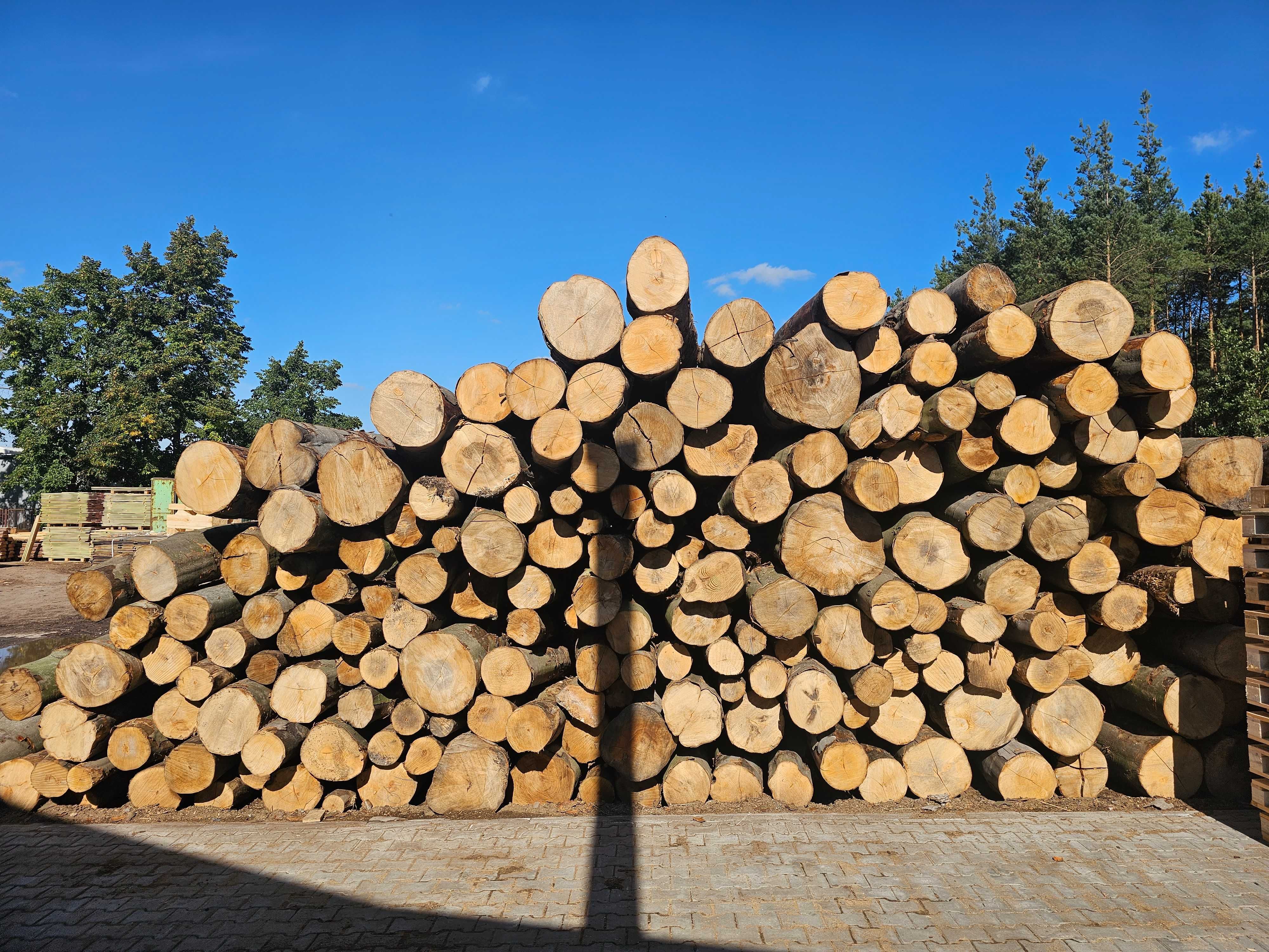 PROMOCJA Drewno kominkowe drzewo buk łupany 350 ZŁ