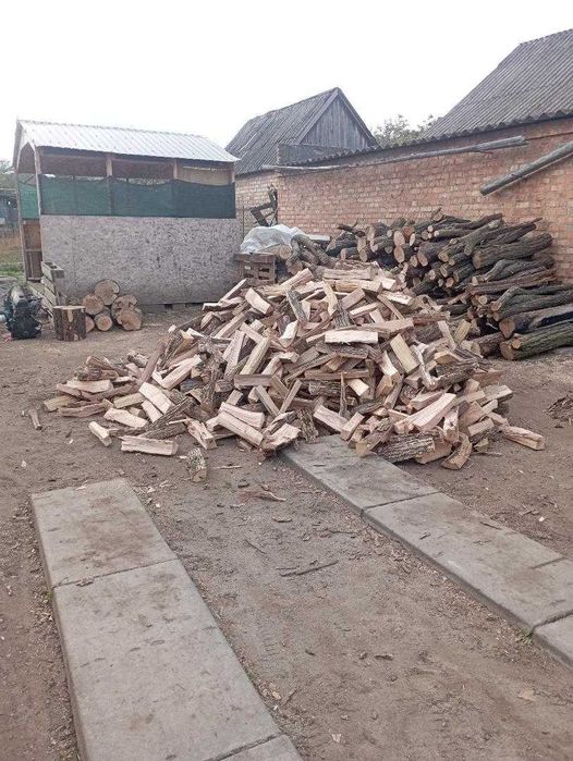 Продам дрова всех видов
