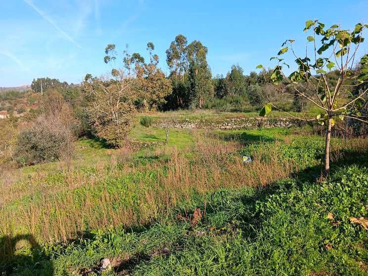 Quinta em zona paradisíaca