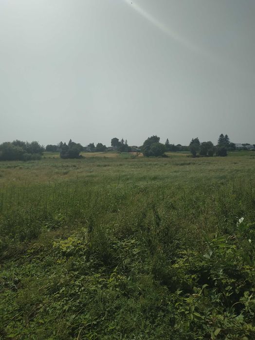 Продам  земельну ділянку біля Рівного