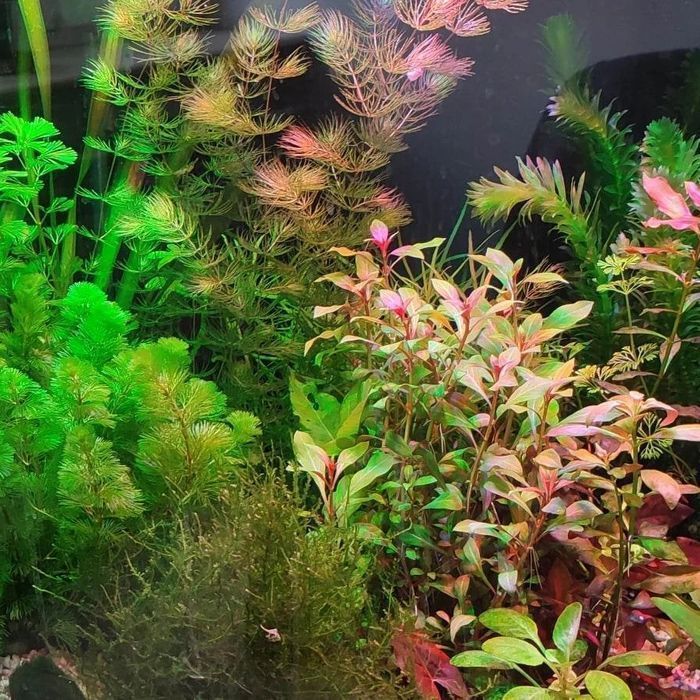 Lampa do akwarium na diodach power led 190 cm lub  na wymiar.