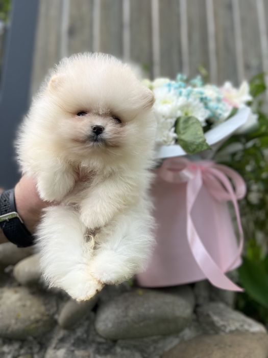 Нереальної краси хлопчик
